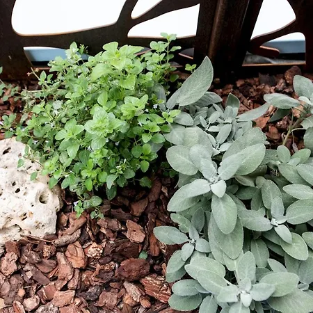 Renzi 23 * Cattolica